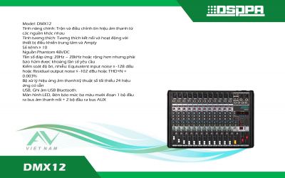 DSPPA DMX12